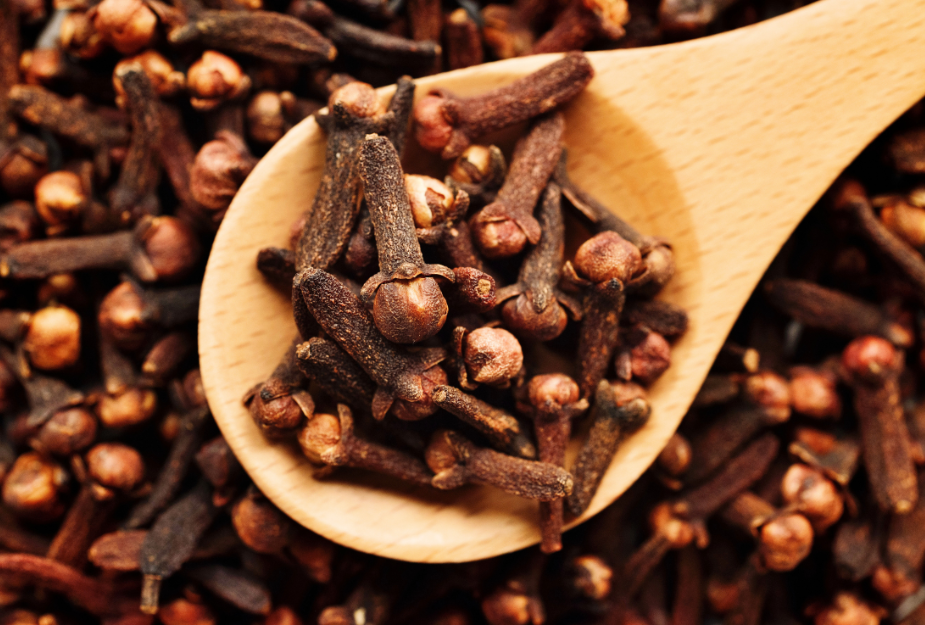 clove-exporters.png
